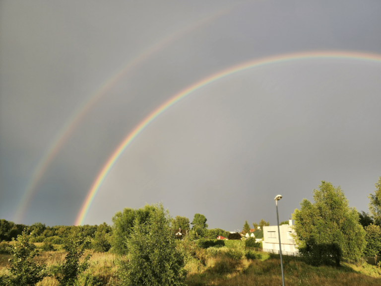 Kuchnia i otoczenie (1)